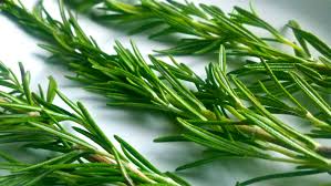 rosemary3.jpeg